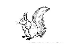 Eichhörnchen-2.pdf